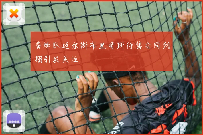 黄蜂队迈尔斯布里奇斯待售合同到期引发关注